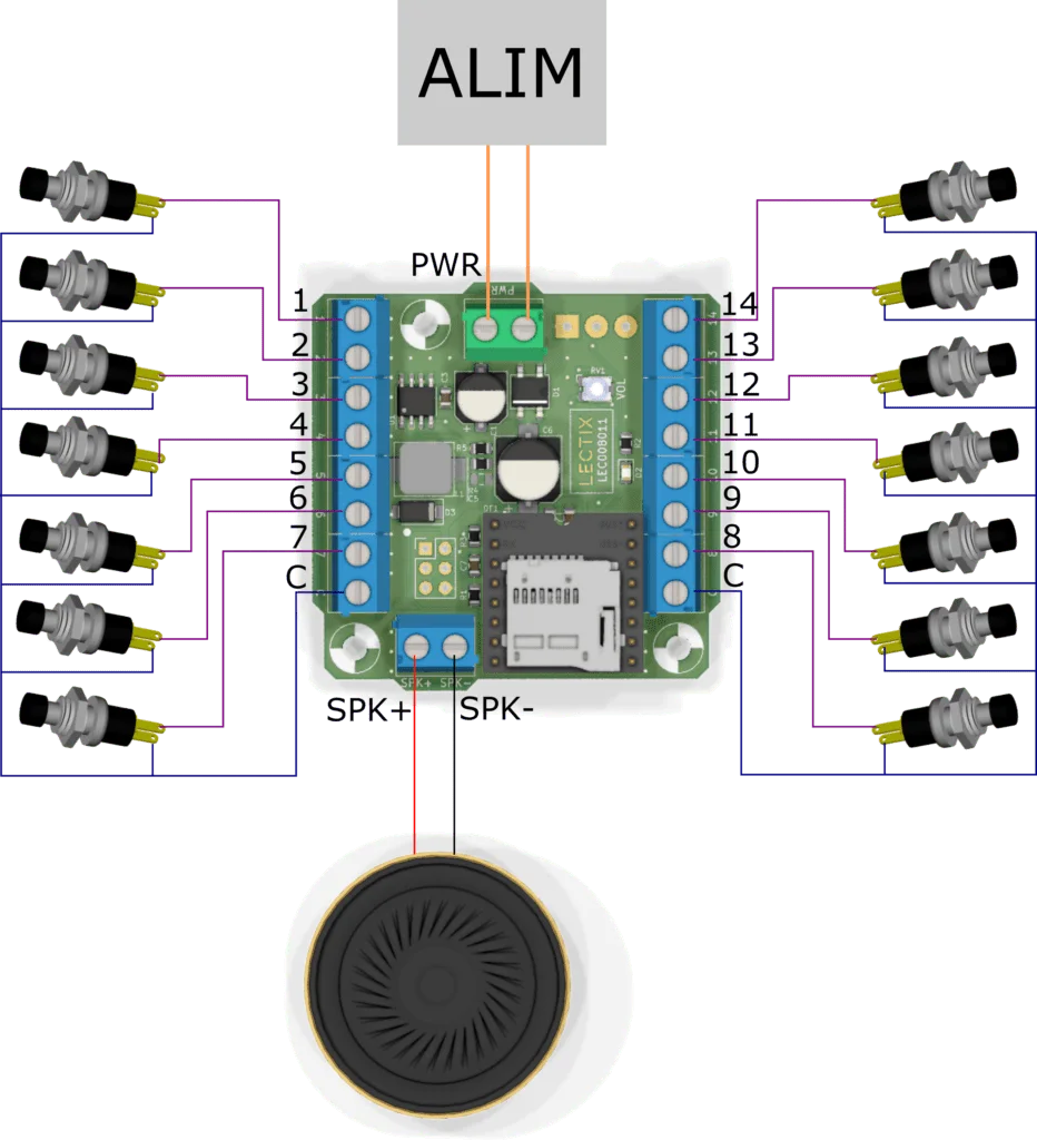 Câblage du module sonore LECTIX